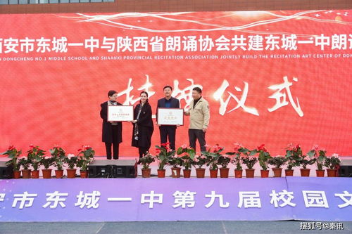 绽放艺术花蕾 放飞缤纷梦想——西安市东城一中第九届校园文化艺术节成功举办